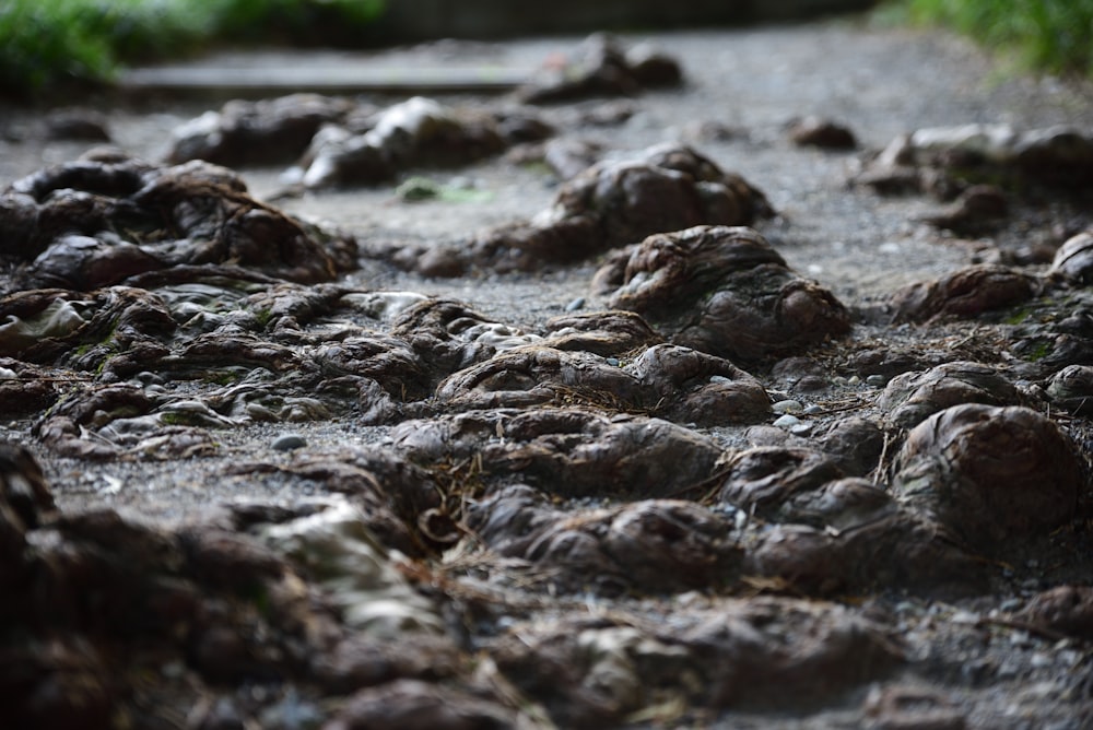 grayscale photography of rocks