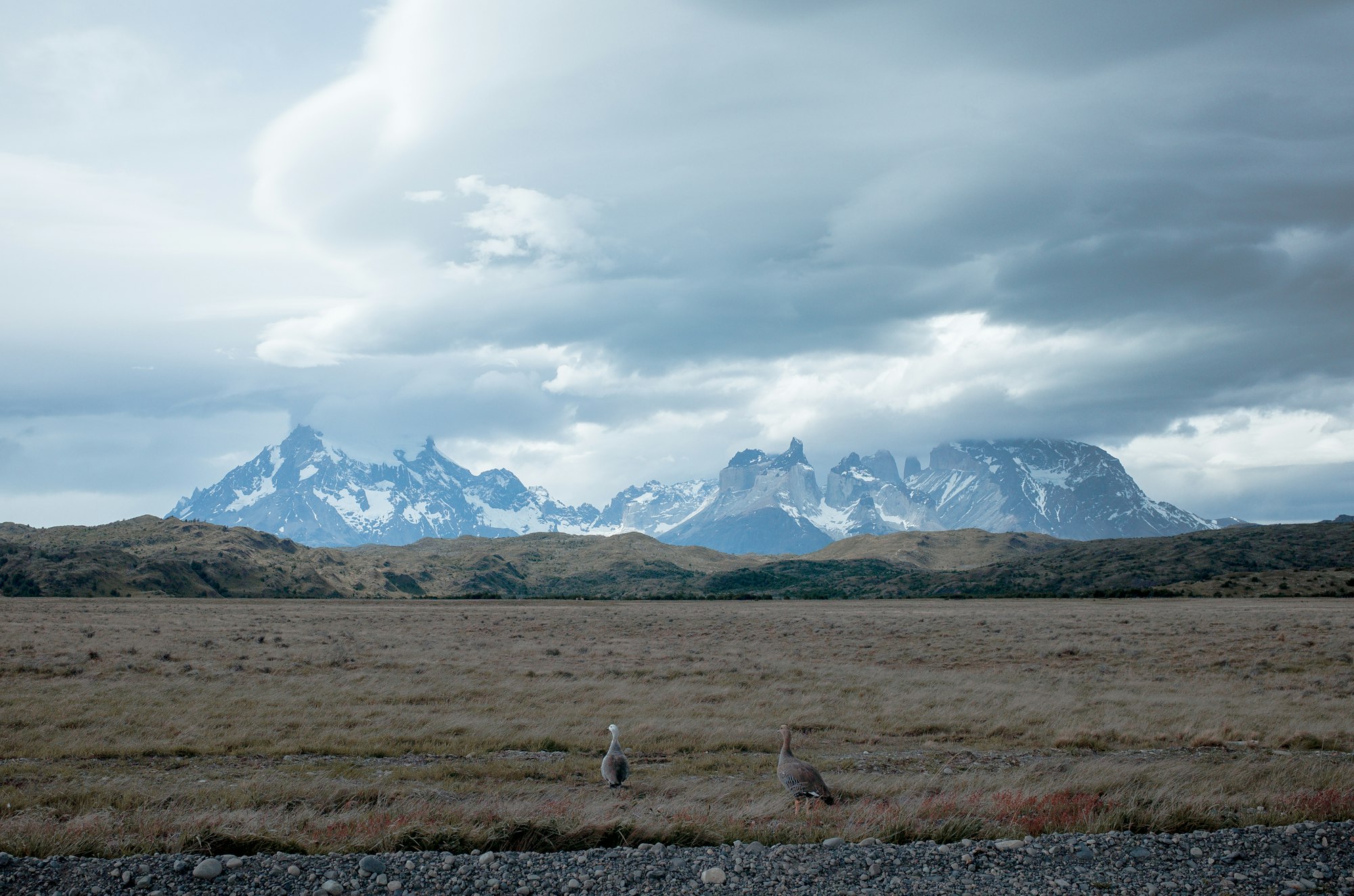 Lessons from the Swashbuckling Founder of Patagonia