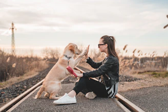 woman sitting and playing with dog outdoors