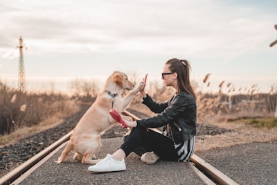 woman sitting and playing with dog outdoors