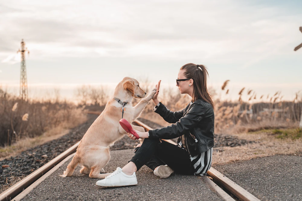 Dog owner sitting and playing with their dog outdoors