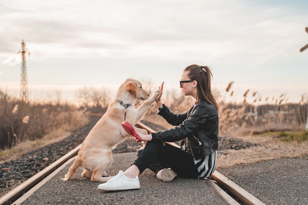 屋外に座り、子犬と「お手」の練習をする女性