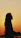 silhouette of man standing near railings