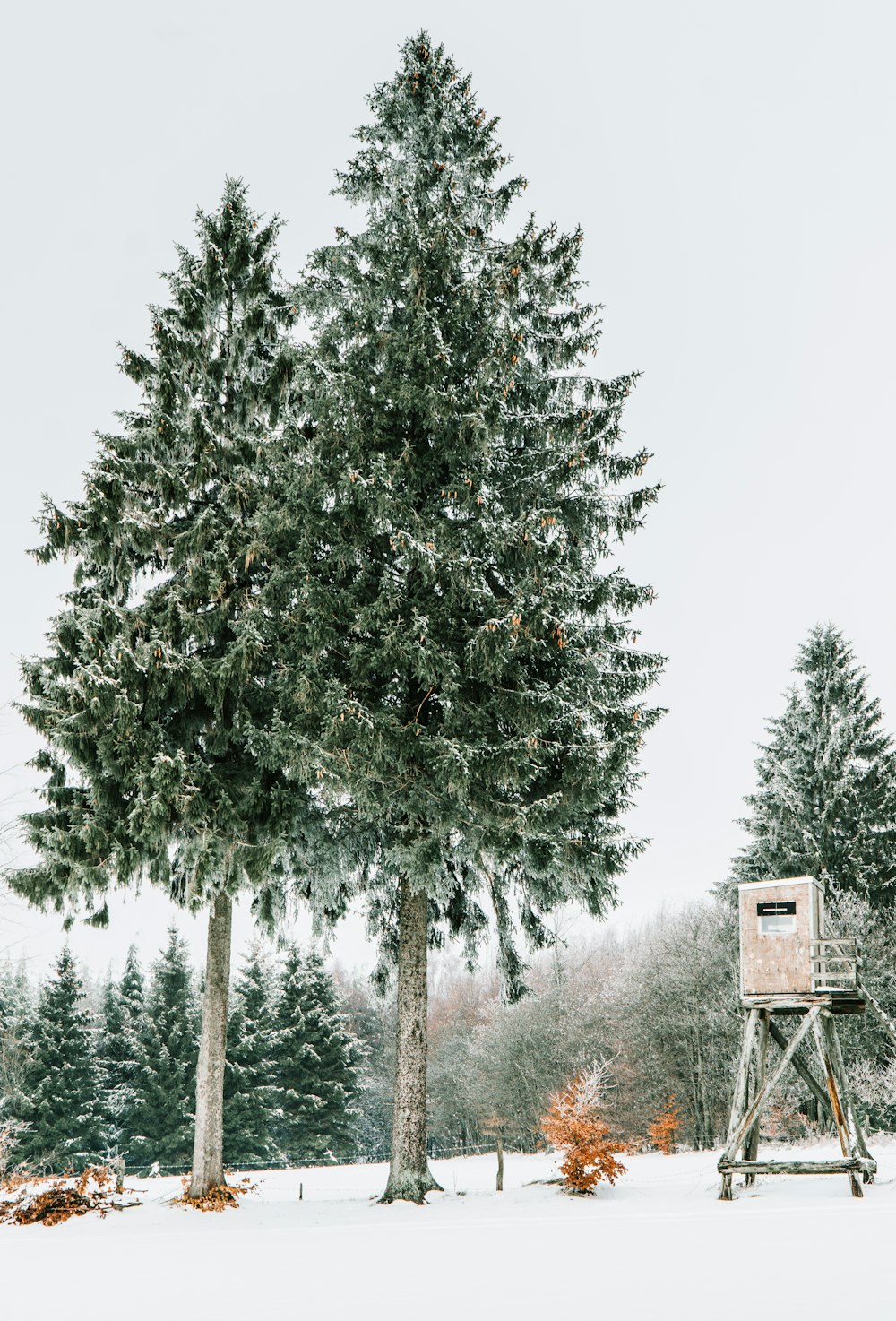 Torre de madera cerca de los árboles durante el invierno