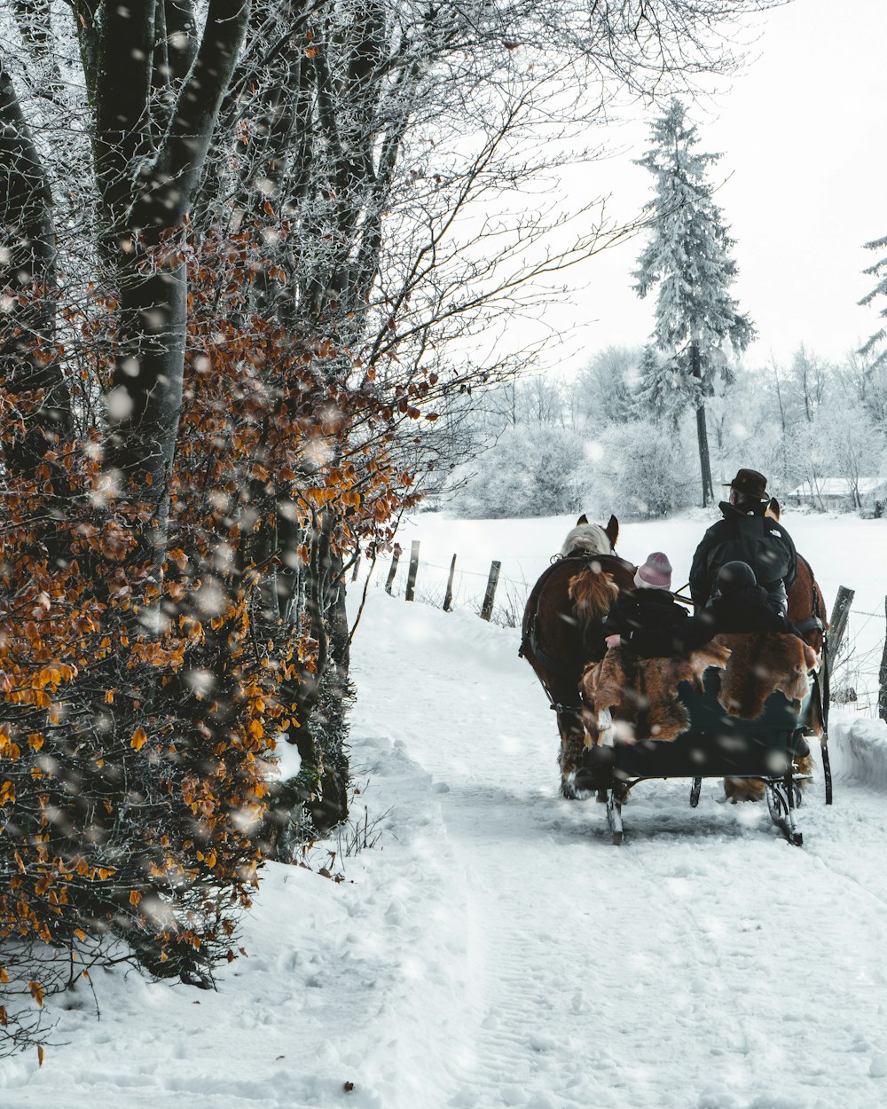 sleigh passing through tree