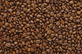 coffee beans lot