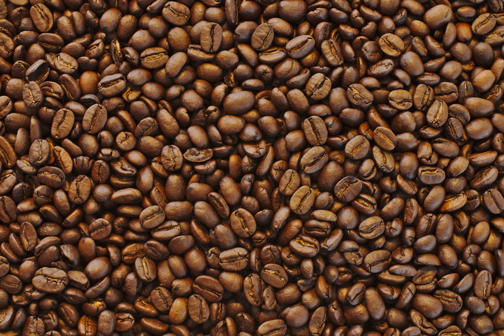 Lote de granos de café