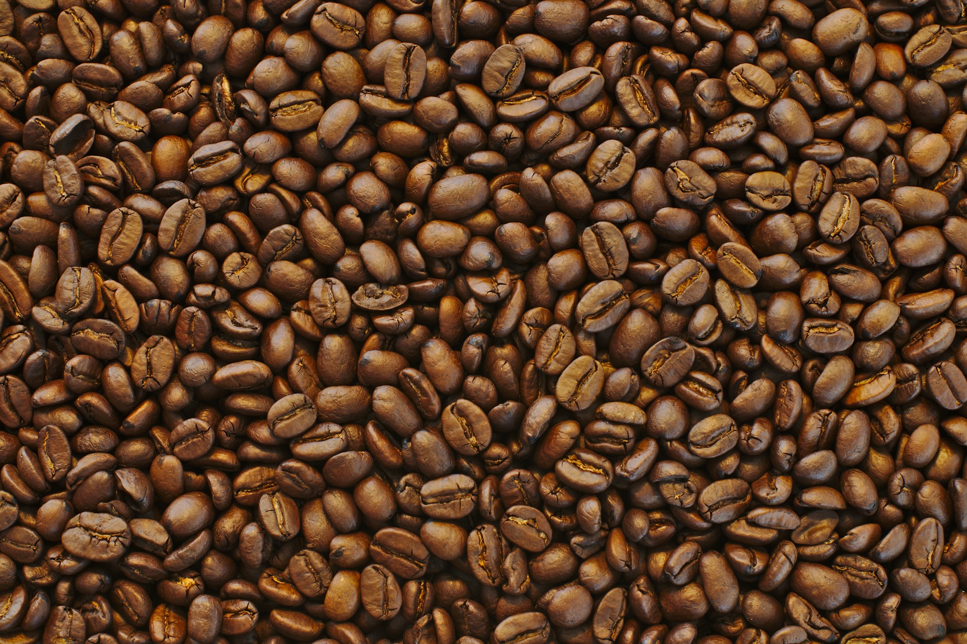 coffee beans lot