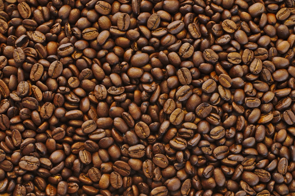 coffee beans lot