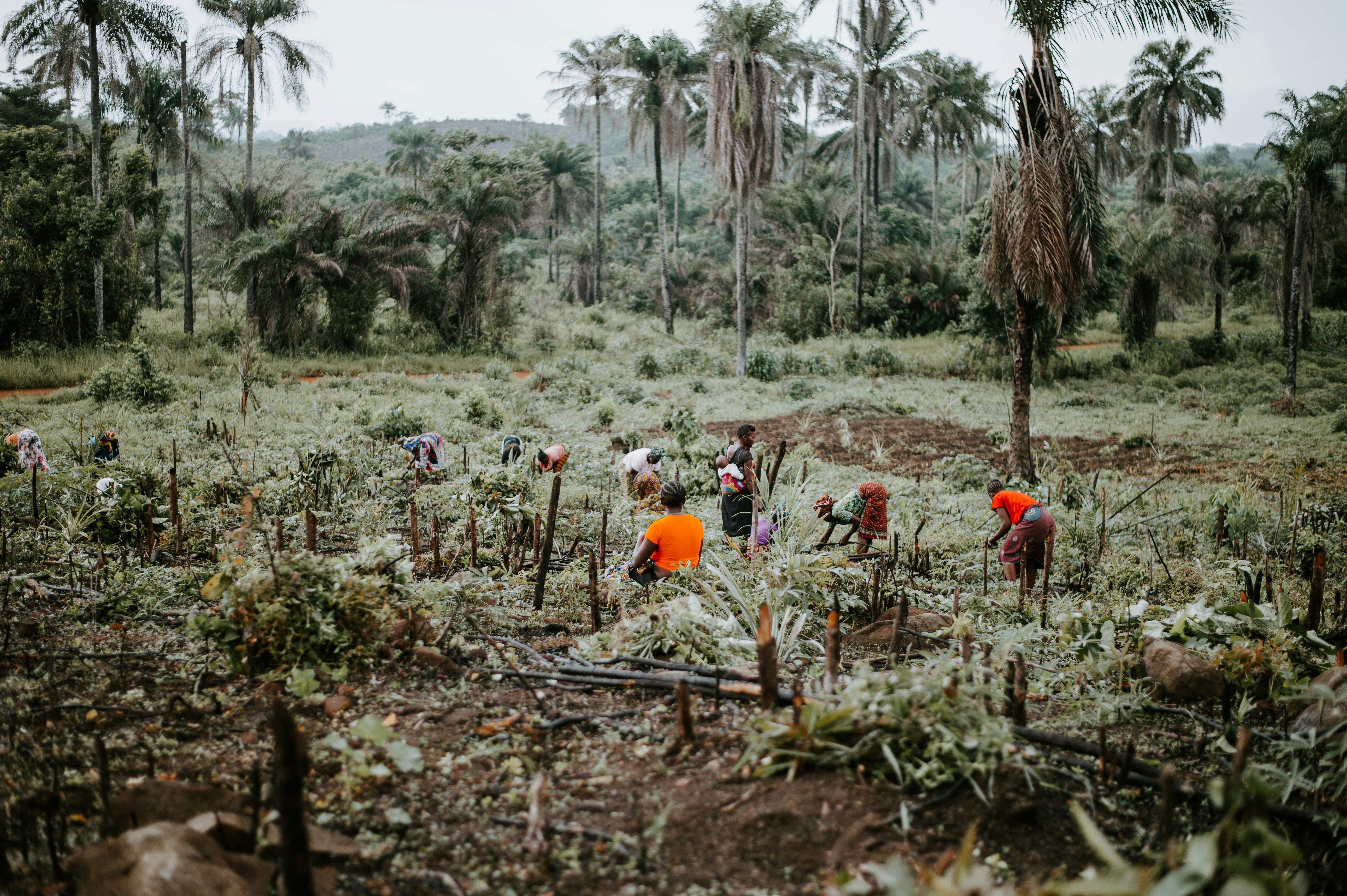 Photo by anniespratt