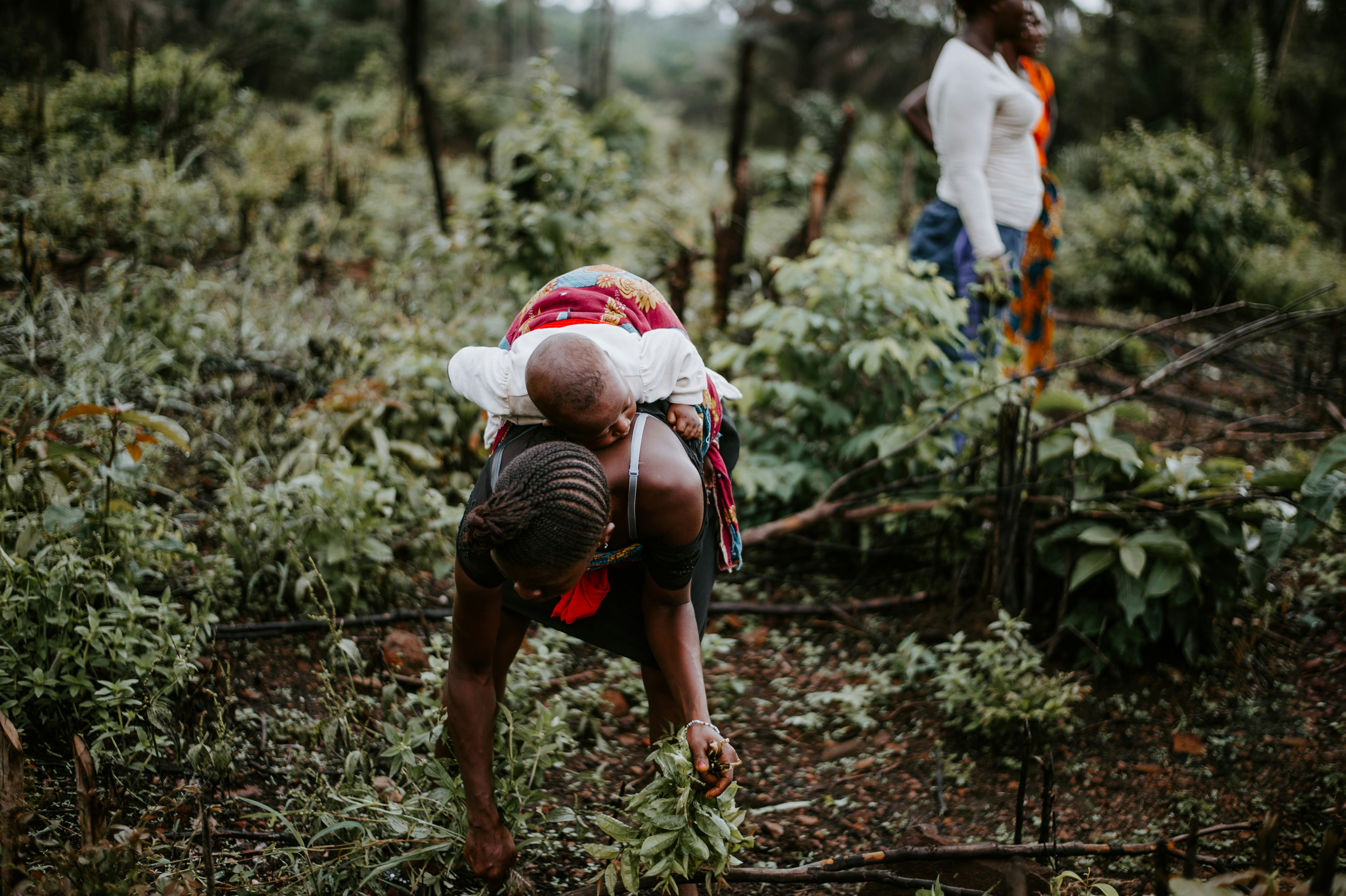 Photo by anniespratt