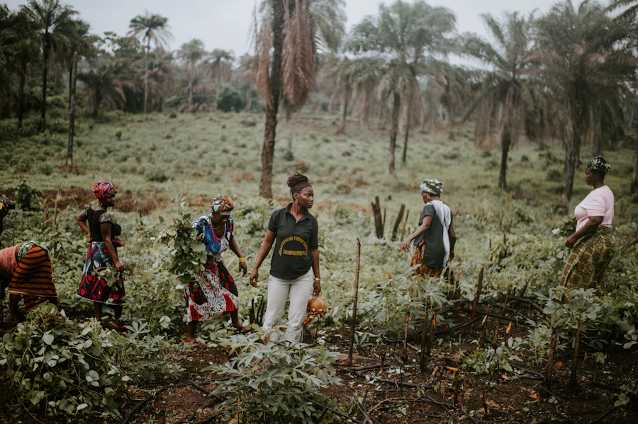 Farmers working together in the field