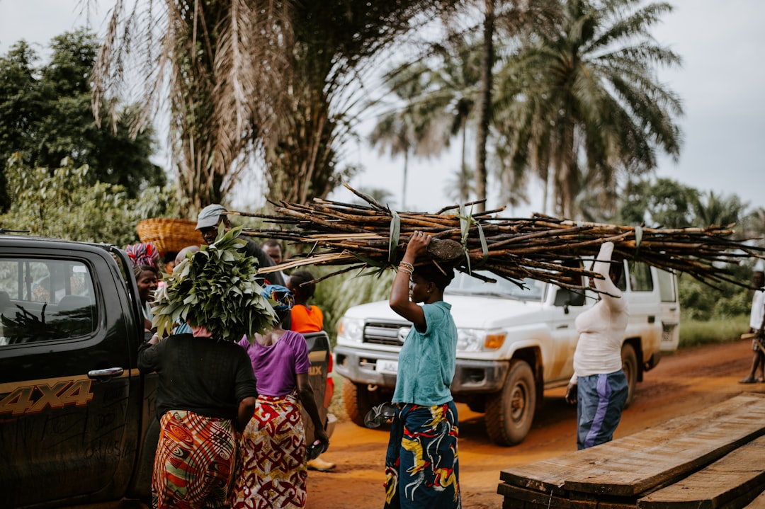 people near vehicles and trees