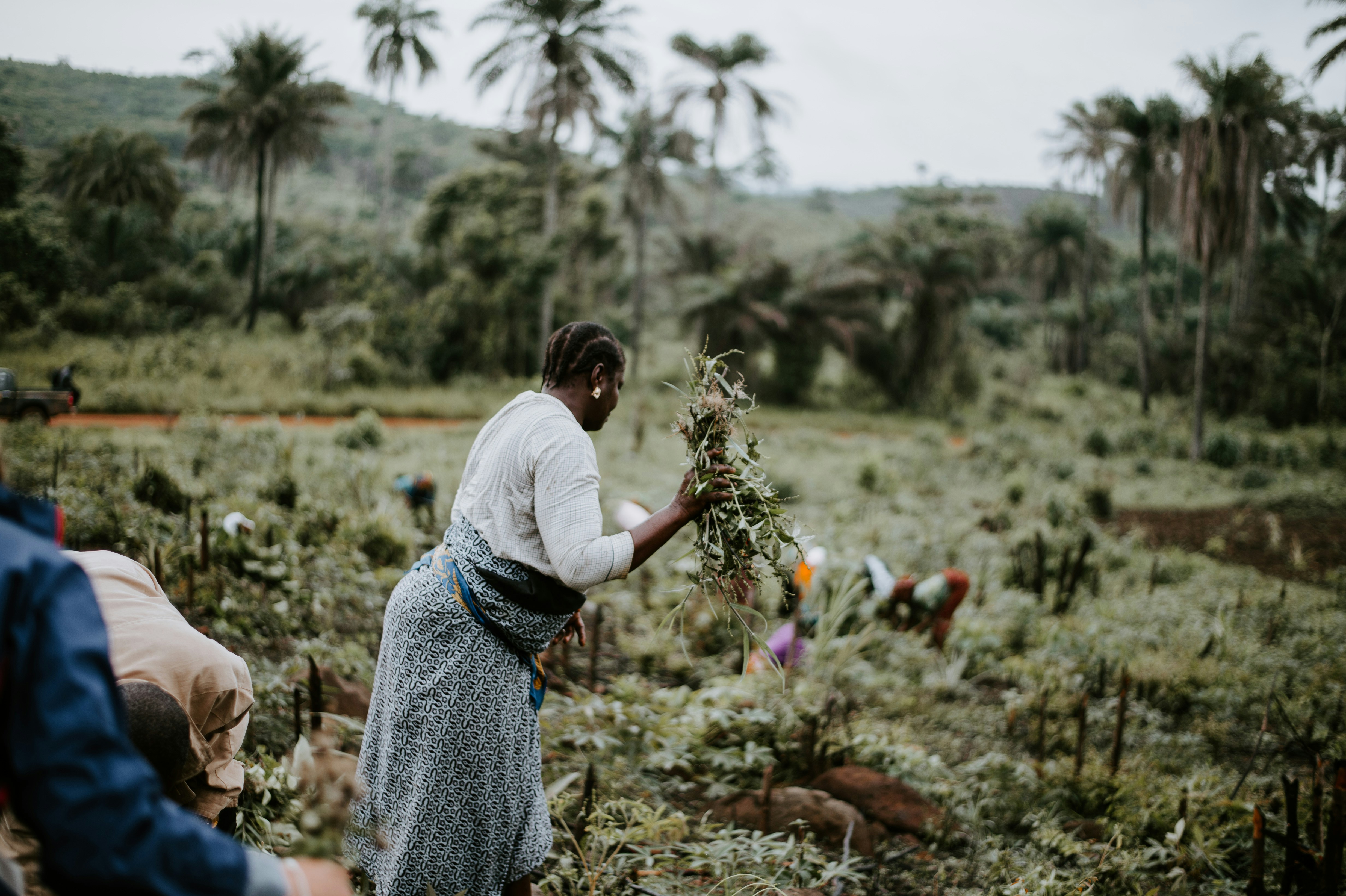 Photo by anniespratt