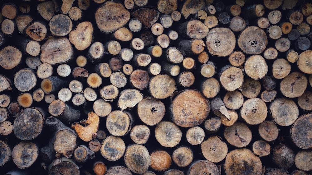 piled logs