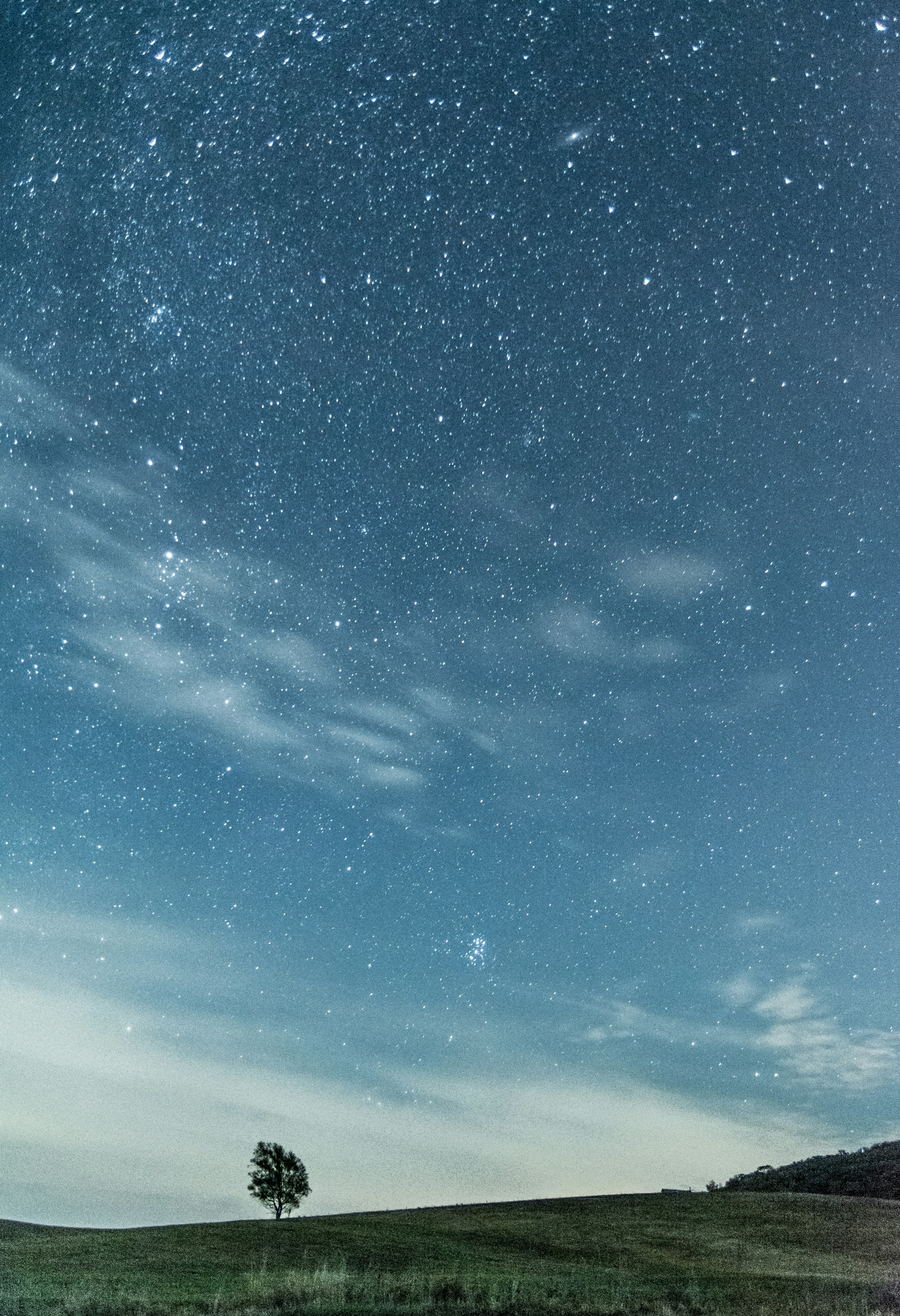 stars at night over trees and mountain
