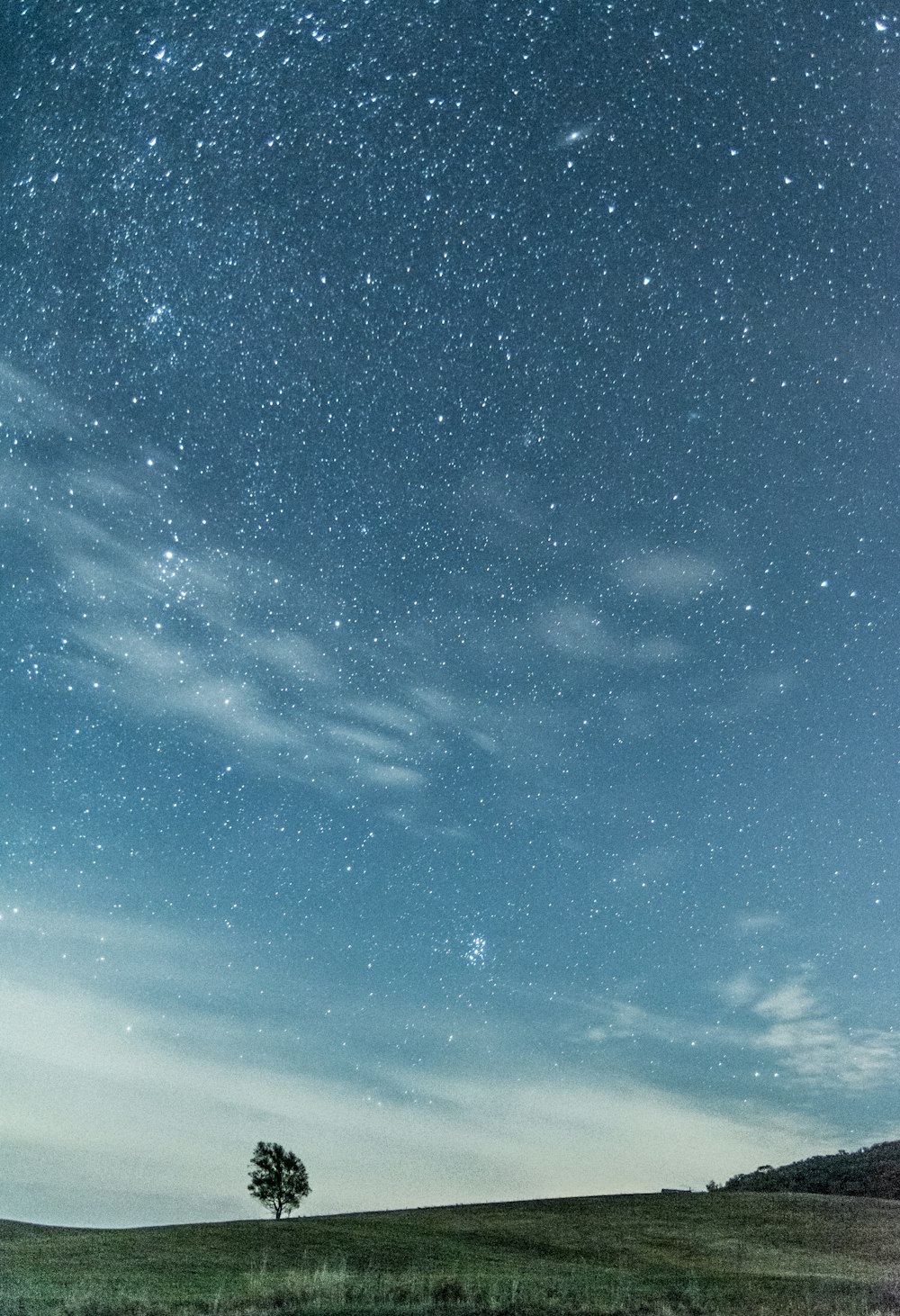 stars at night over trees and mountain