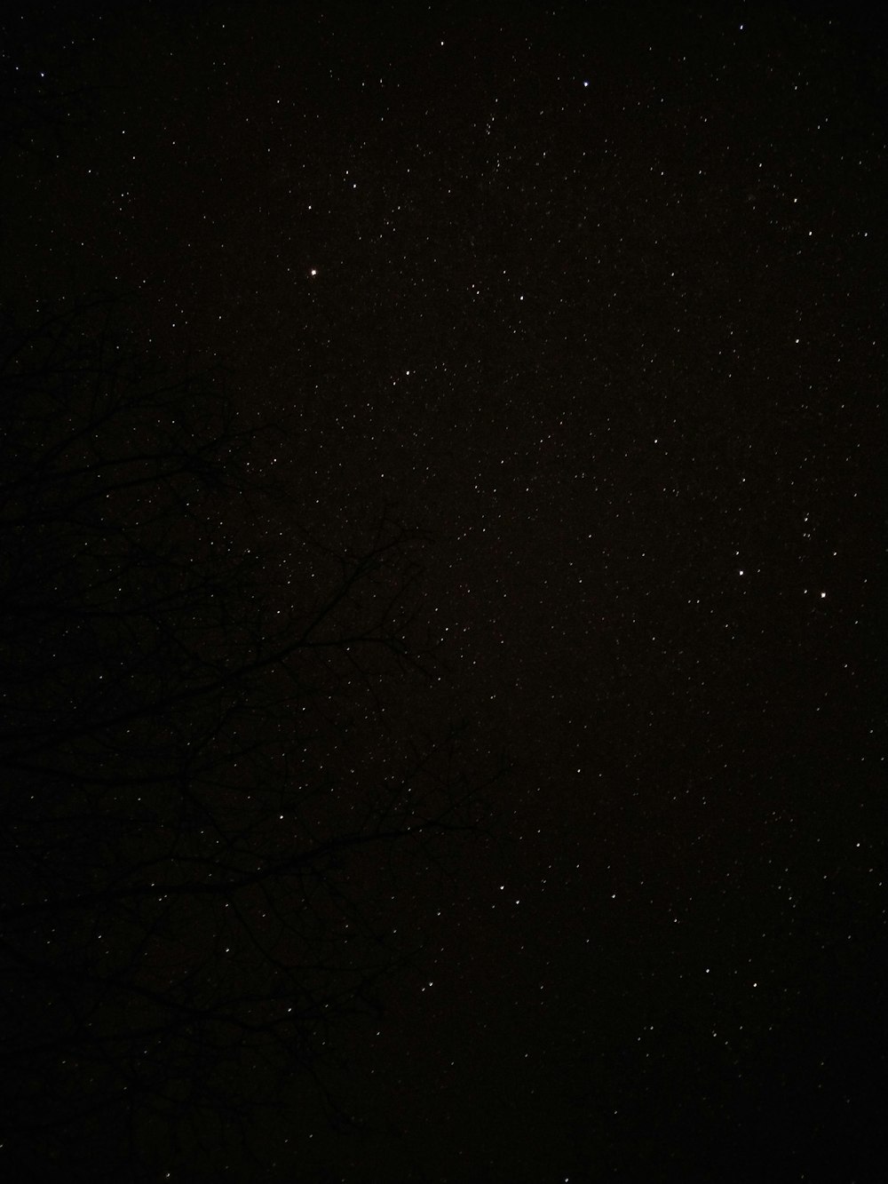 Vista de la noche estrellada