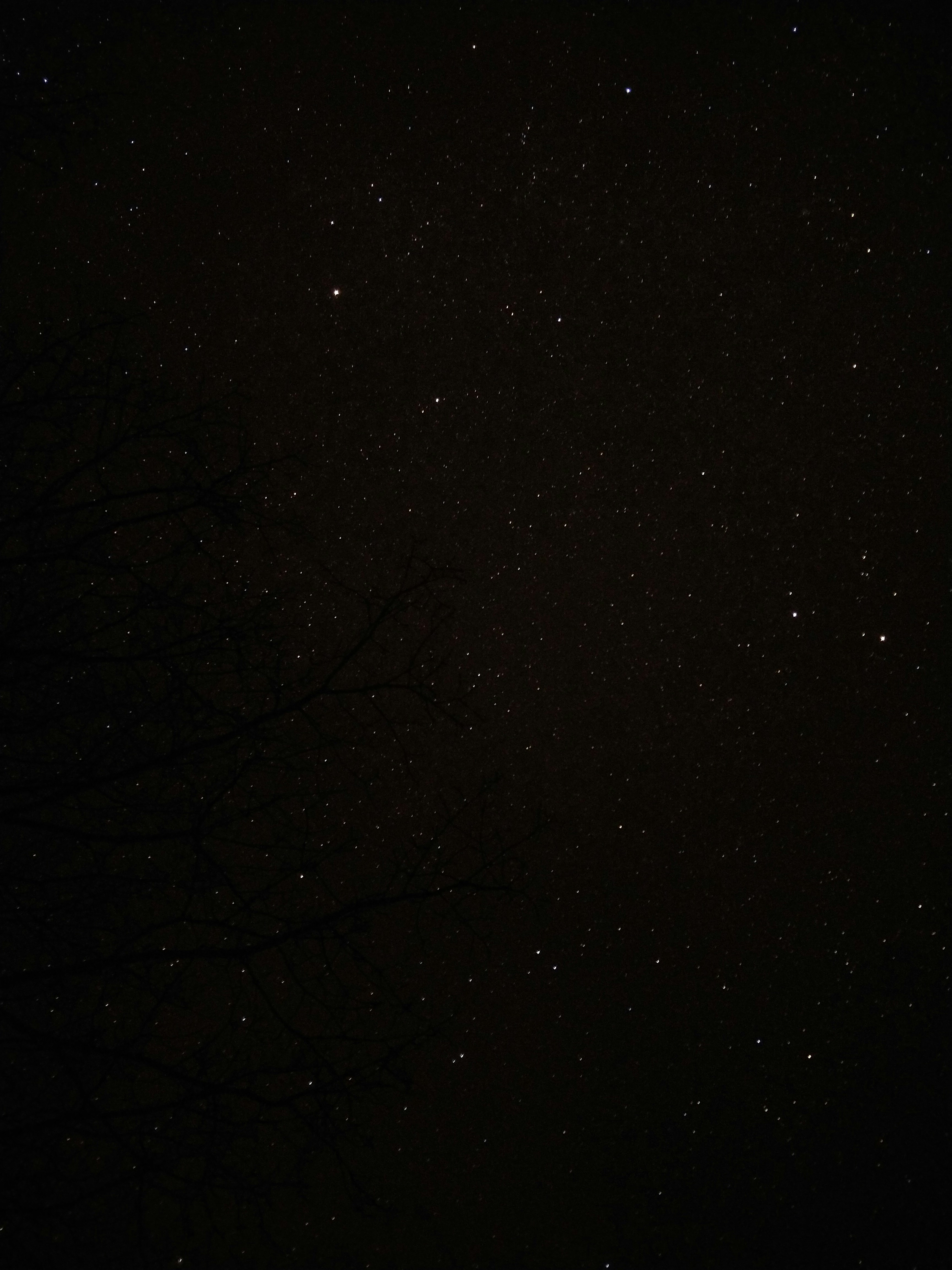 Night stars. RAW foto insta: @oscarestrelaschoett.
