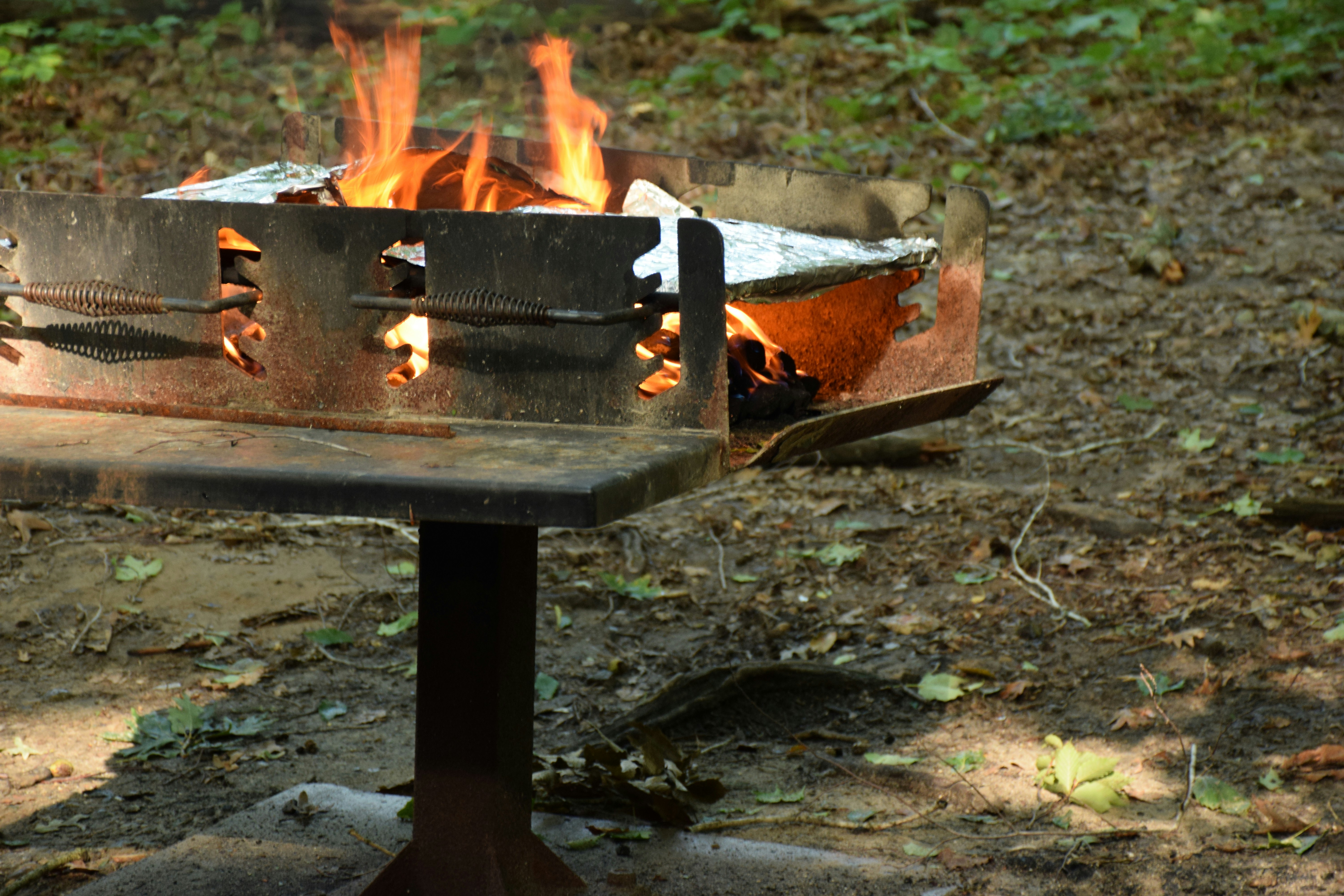 photo 1551795932 1afa8c30884a?ixlib=rb 4.0