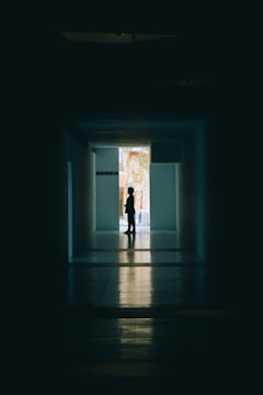 Shadowy figure standing in a dimly lit corridor.