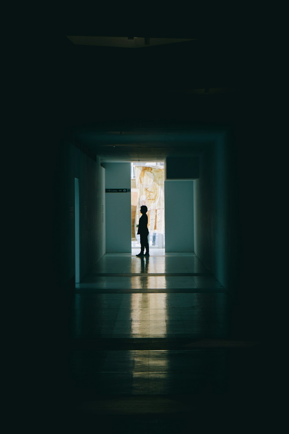 silhouette of person standing between posts