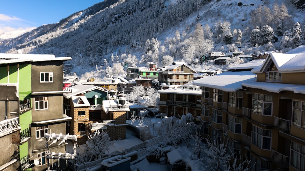 snow covered houses