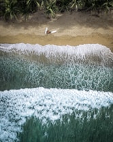 An aerial view of a beach with lush palm trees bordering a golden sand shoreline. Two surfboards and a person are visible on the sand. The ocean waves crash onto the shore, with white foam against the deep blue-green water.