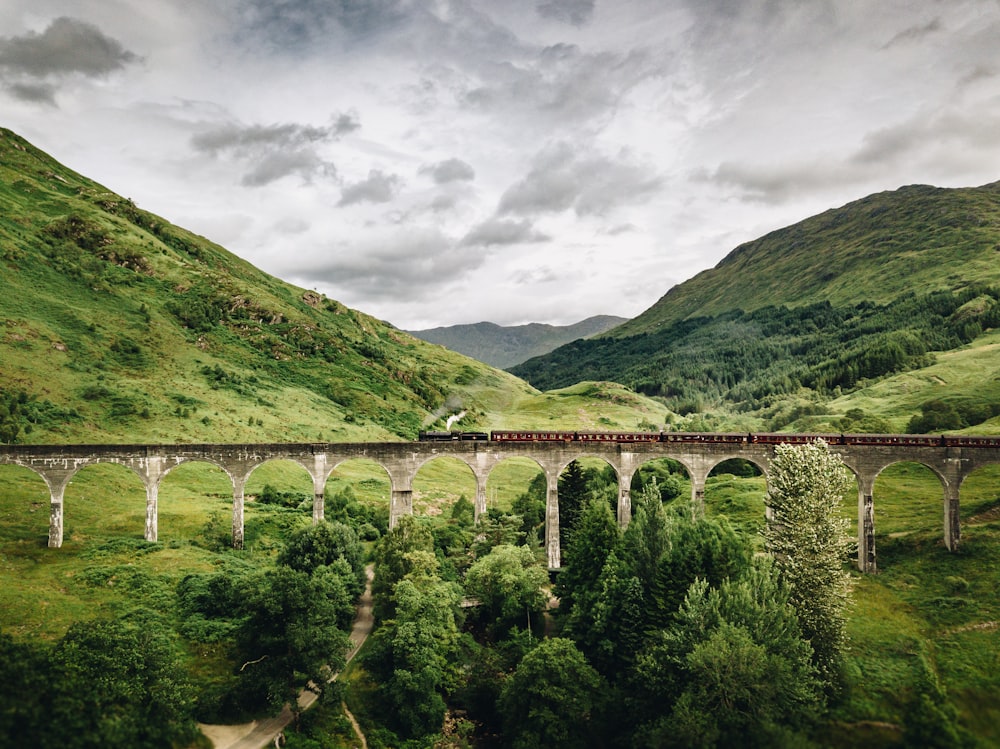 train passing by bridge over mountains
