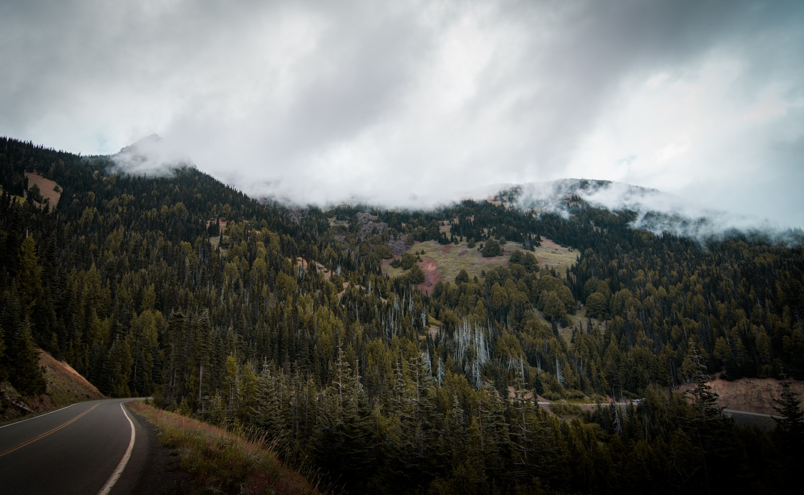 Nikon D7100 + Tokina AT-X Pro 11-16mm F2.8 DX sample photo. Mountain roadside during daytime photography