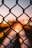 A chain-link fence is prominently displayed in the foreground, with blurred city lights and a sunset sky in the background creating a bokeh effect.