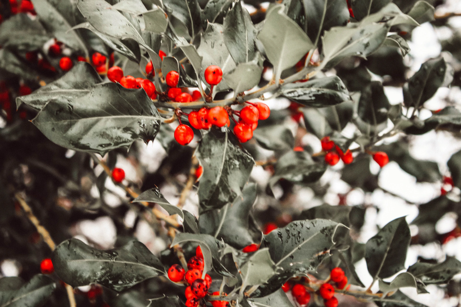 woman wearing yellow long-sleeved dress under white clouds and blue sky during daytime