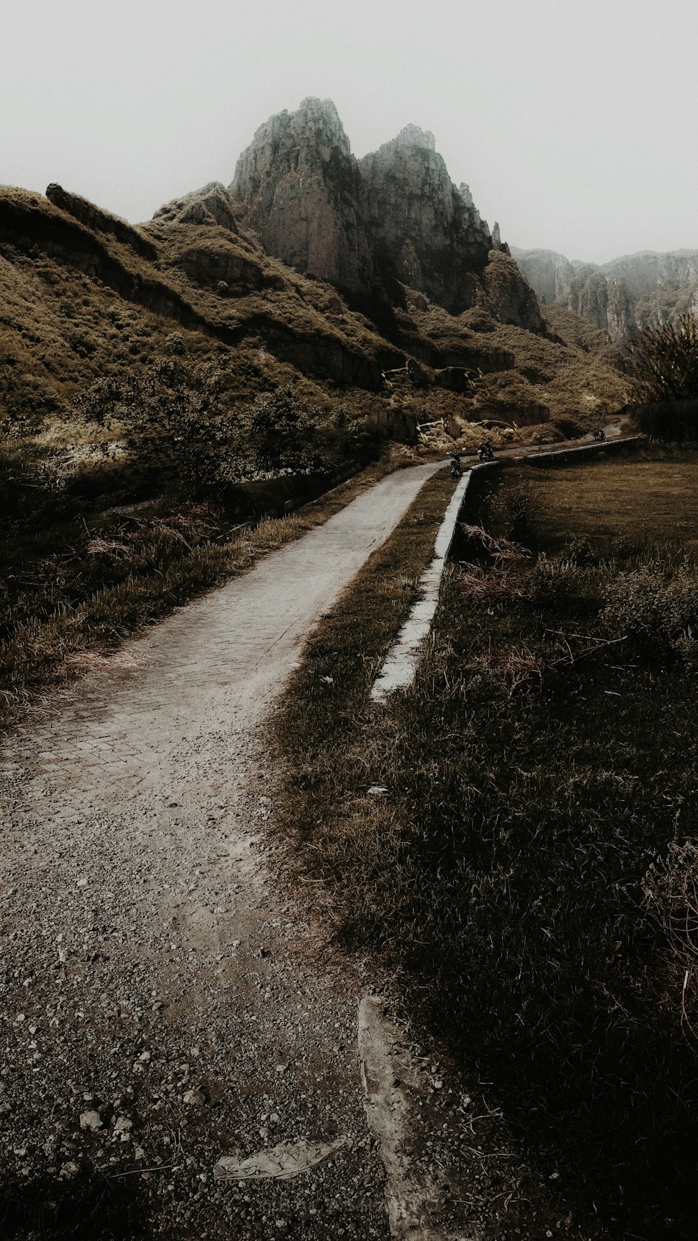 丘陵付近の道路