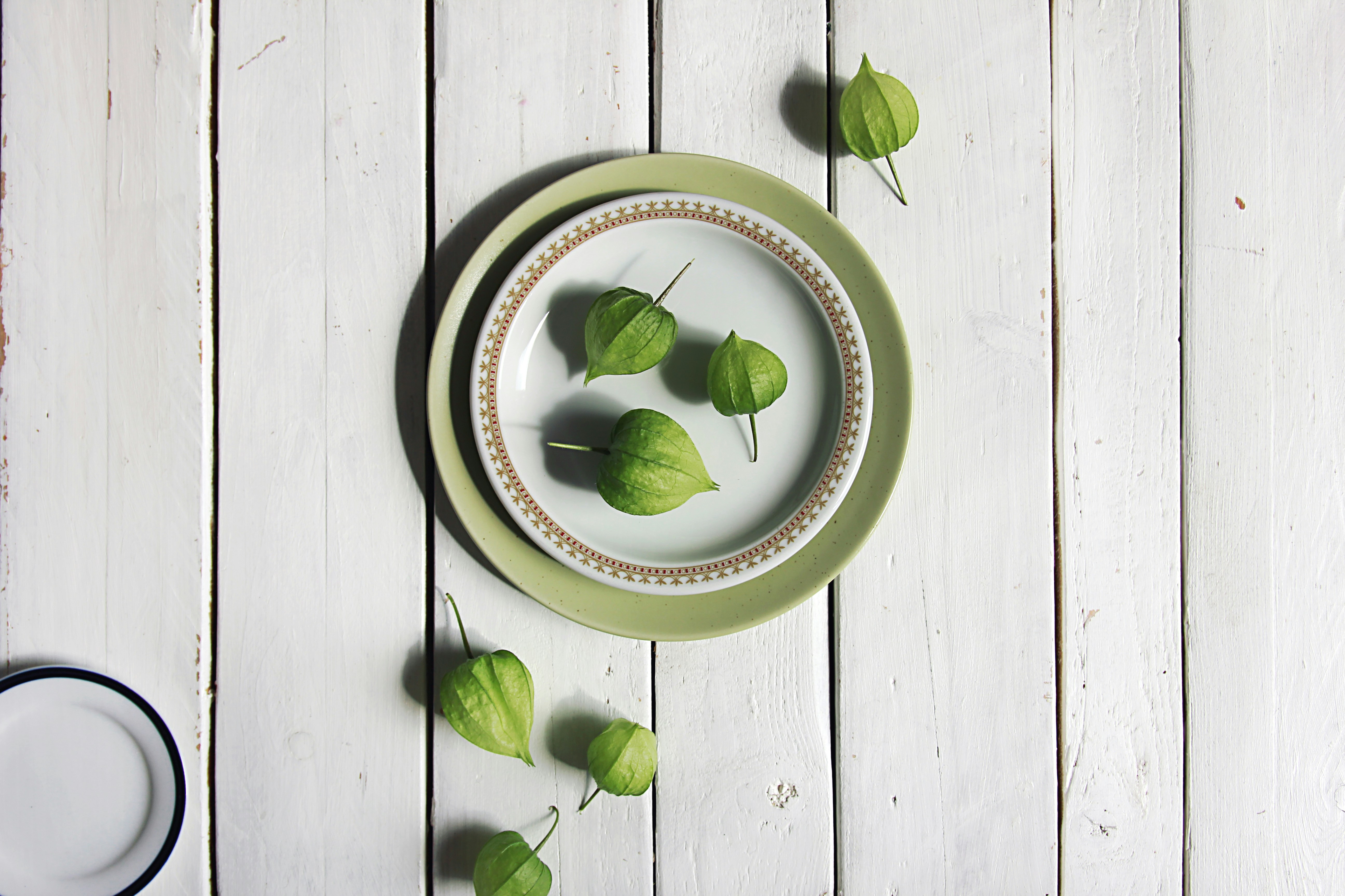 Areca Palm Leaf Plates