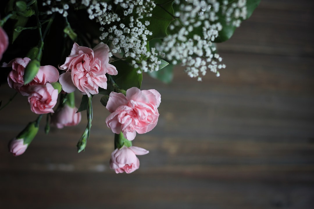 pink petaled flower