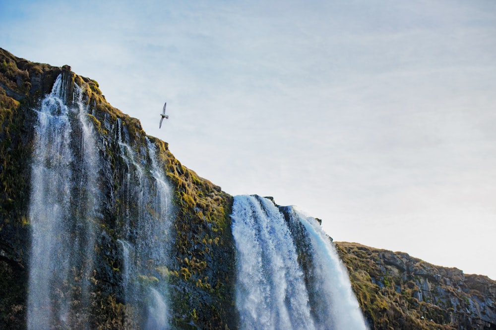 waterfalls during daytime