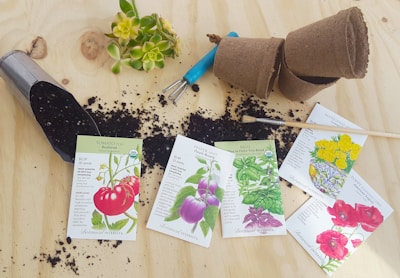 A gardening scene with seed packets for tomato, pepper, basil, marigold, and poppy varieties scattered on a wooden surface. Soil is spilled from a metal scoop, and small biodegradable pots are nearby. Gardening tools, including a small hand rake and a brush, add to the setting. A small green succulent adds a touch of color.