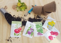 A gardening scene with seed packets for tomato, pepper, basil, marigold, and poppy varieties scattered on a wooden surface. Soil is spilled from a metal scoop, and small biodegradable pots are nearby. Gardening tools, including a small hand rake and a brush, add to the setting. A small green succulent adds a touch of color.