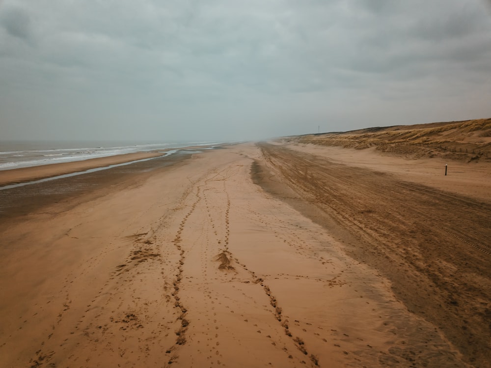 clear brown field near shore