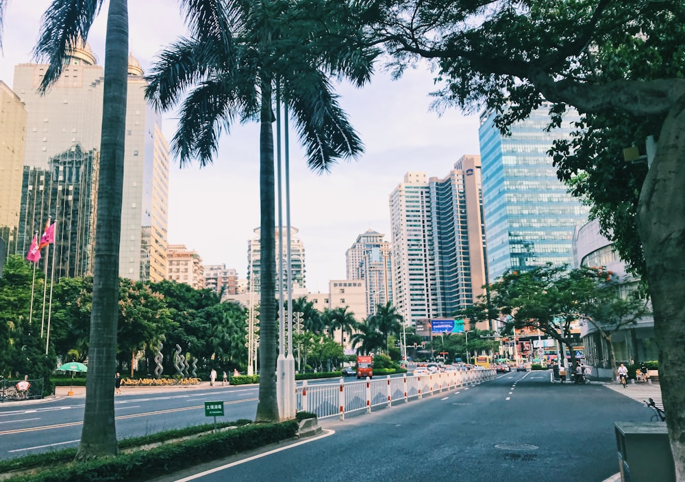 city view during daytime