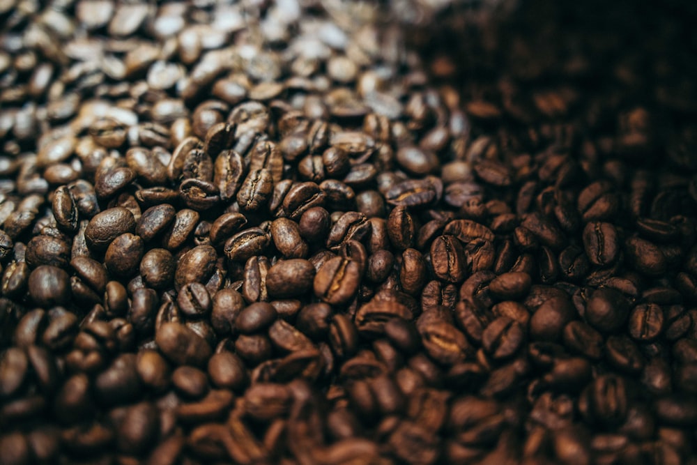 coffee beans