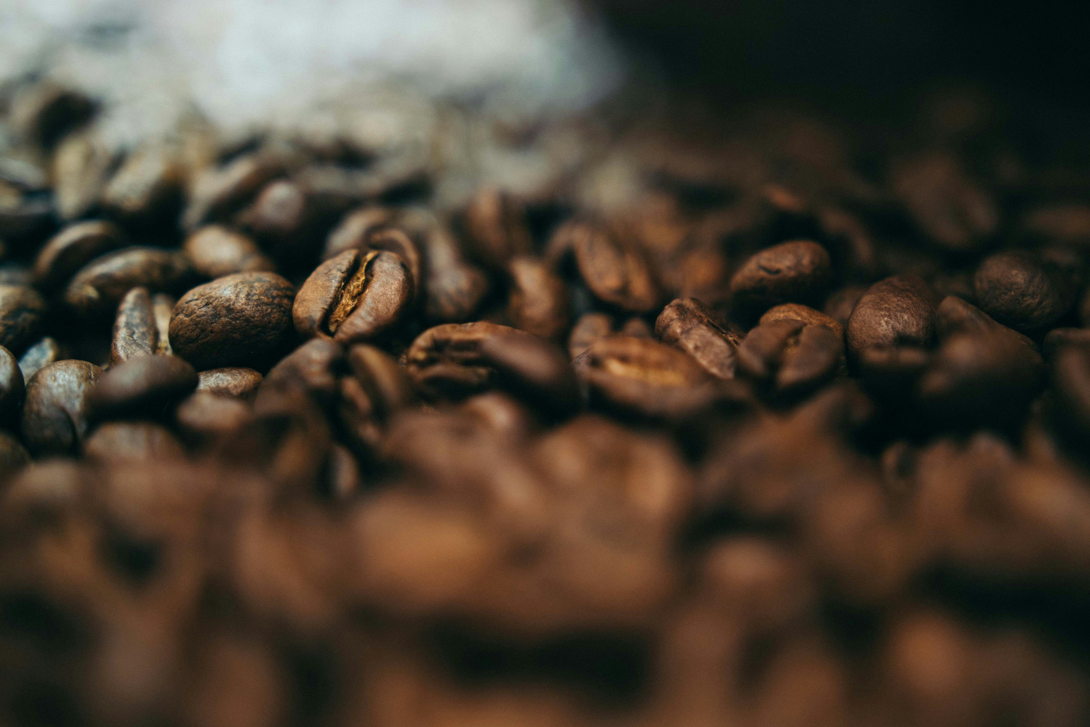 Photo by calebminear