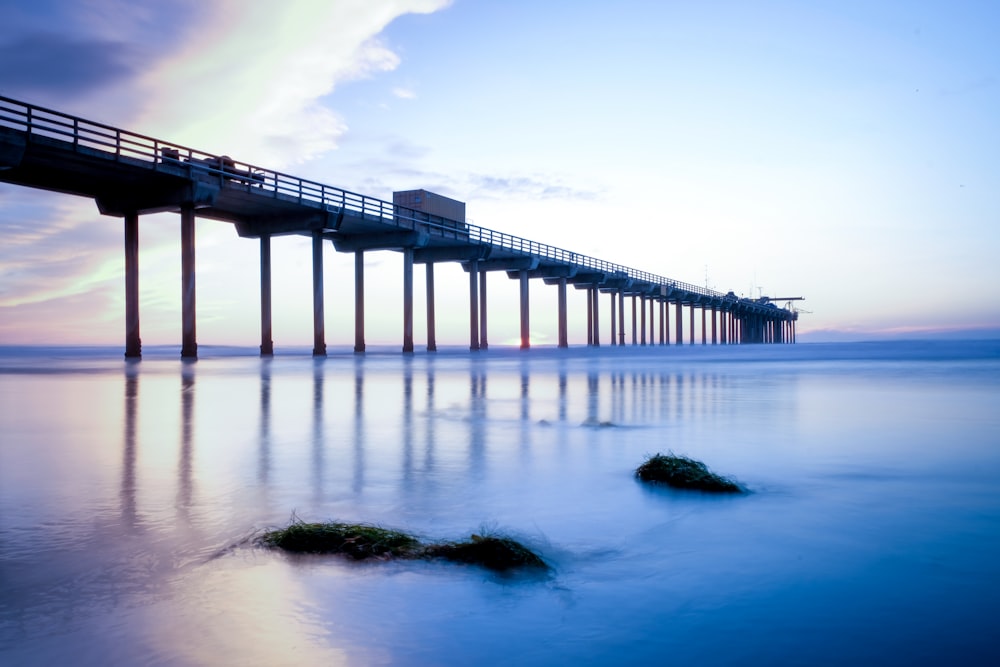 low-angle photography of dock bridge