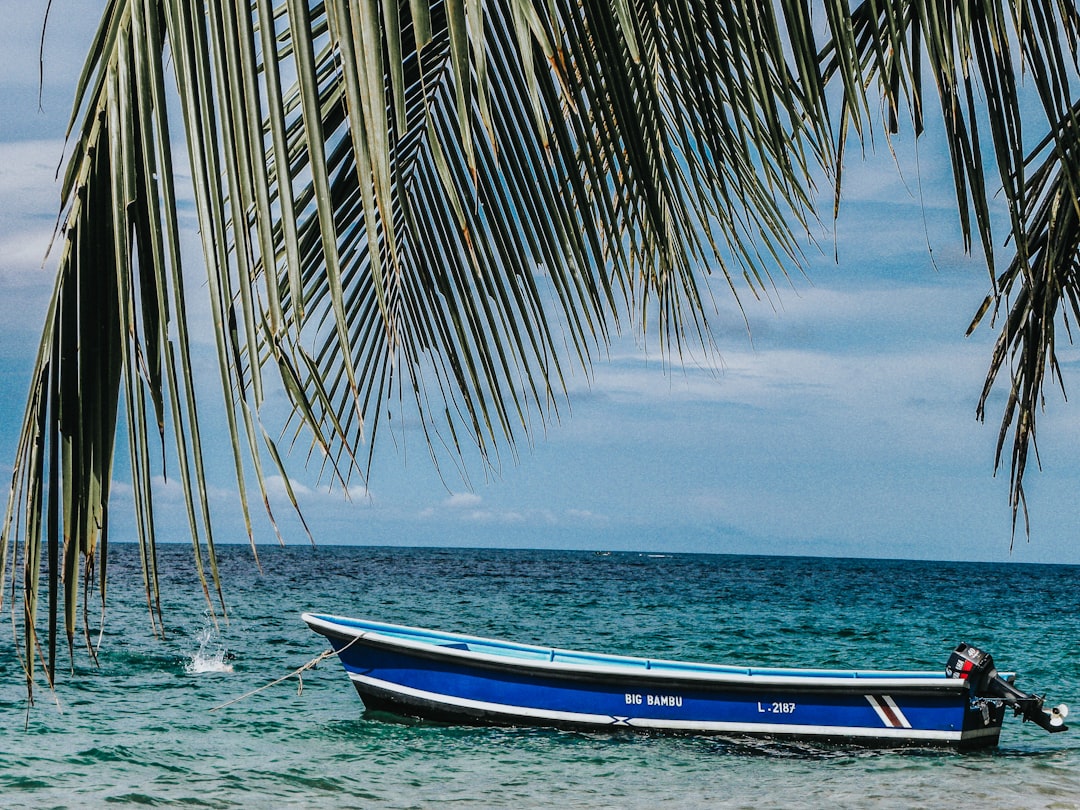 blue and white boat on the ocean photography