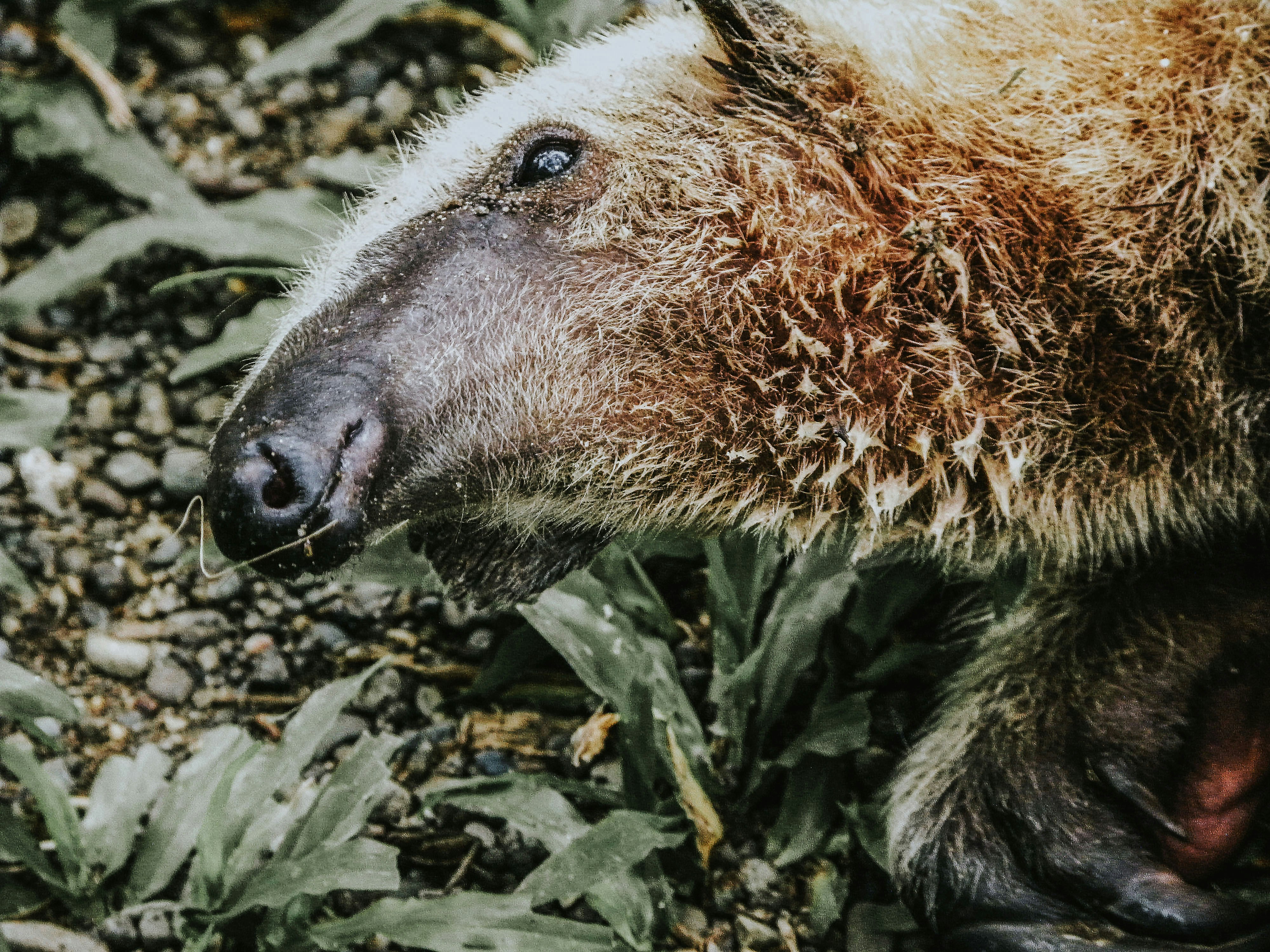 Photo by seitamaaphotography