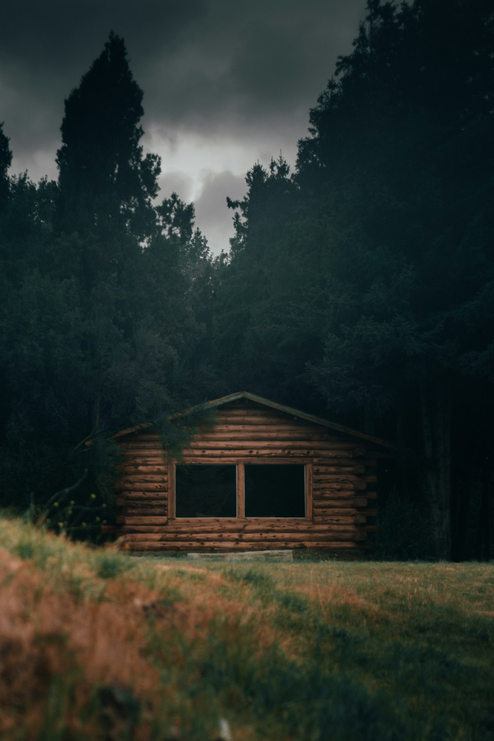 brown log cabin in woods