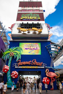 fremont street experience entrée