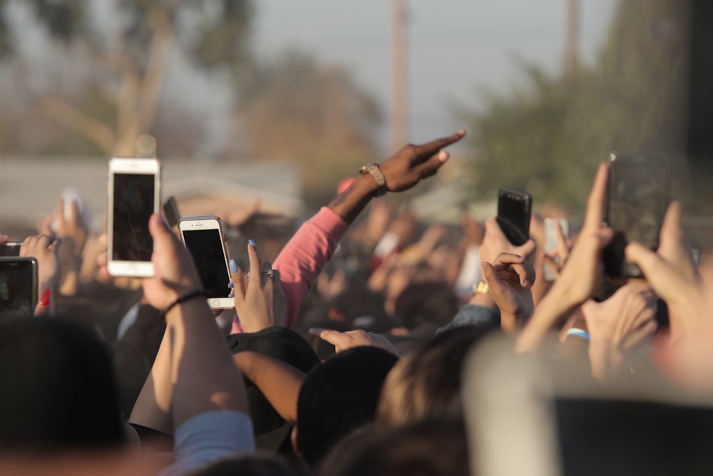people holding smartphones