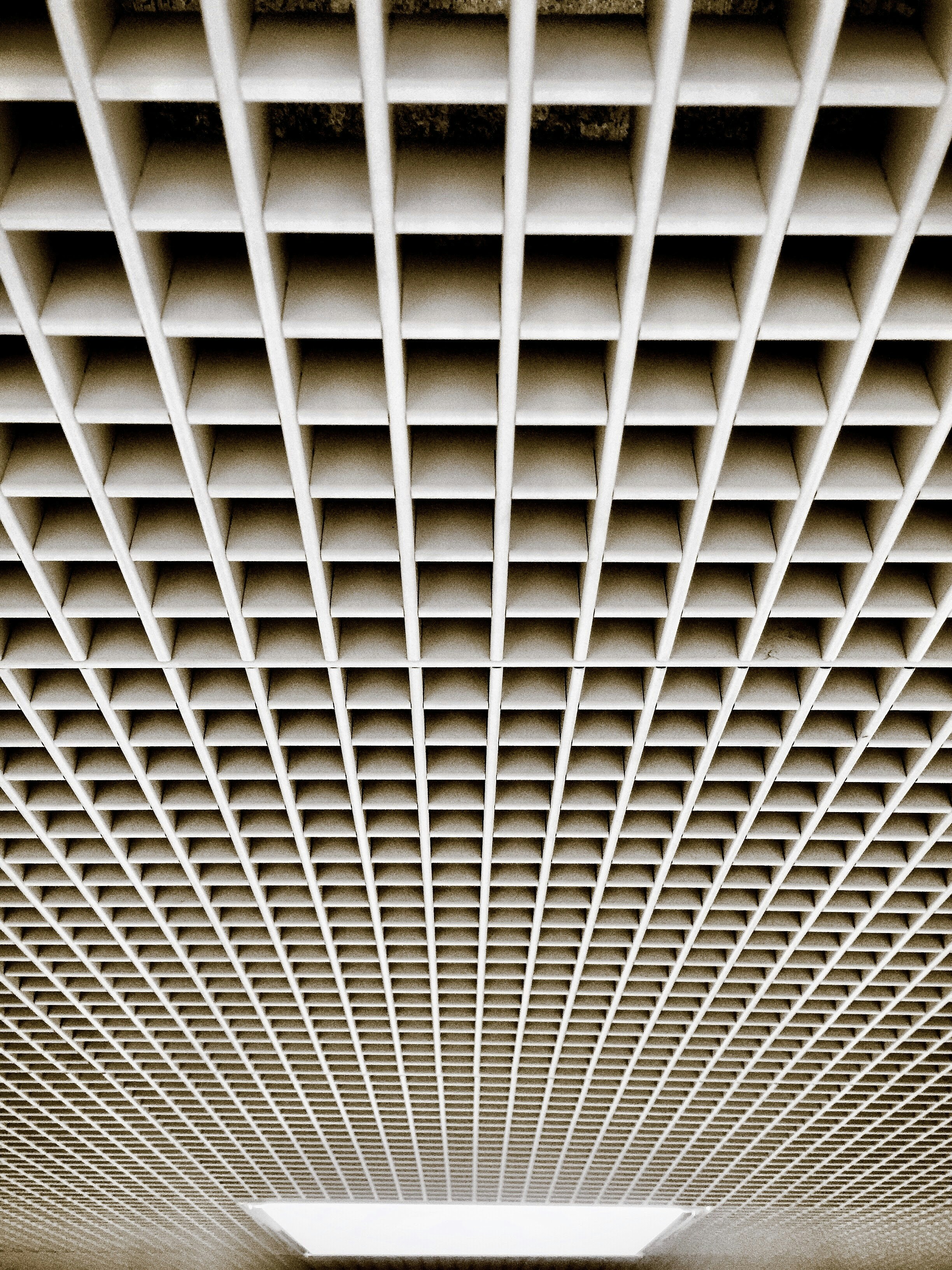 Photo by massimovirgilio