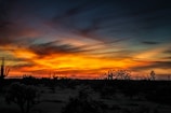Sunset view over the private 20-acre ranch in Arivaca, AZ with warm desert colors.